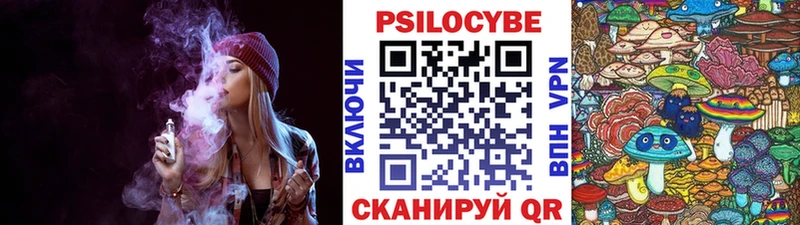 магазин    Белебей  Псилоцибиновые грибы Psilocybine cubensis 